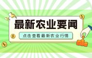 乡村行 看振兴丨走进“小麦之乡”新疆昌吉州奇台县腰站子村 看“农业+”如何带动农民增收、乡村致富