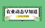 大豆玉米“搭伙种” 稳粮增收“齐步走”——永济大豆玉米带状复合种植示范推广引关注