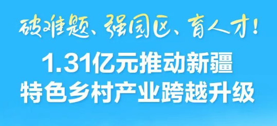 1.31亿元推动新疆特色乡村产业跨越升级