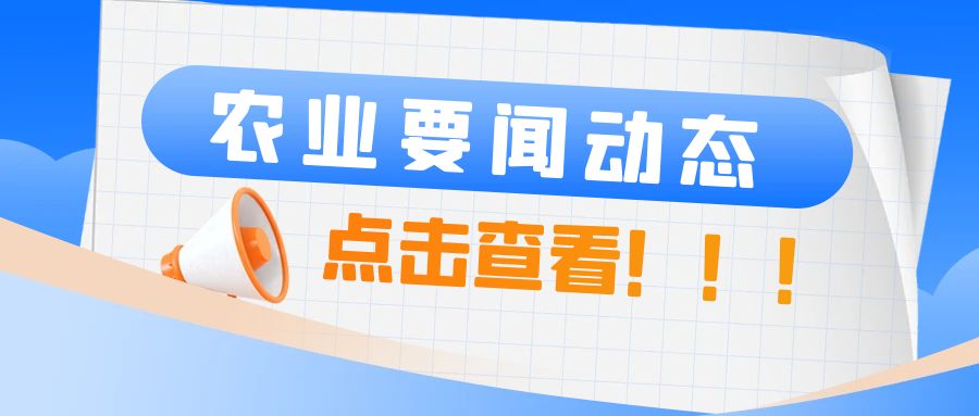 新疆春播农作物超过900万亩