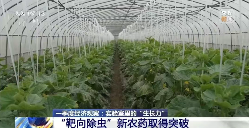 0bf6f4c2-183f-4a17-b1a4-7590f2295914.png